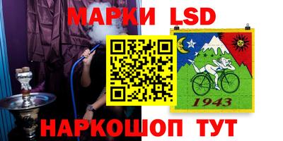 крисы Будённовск